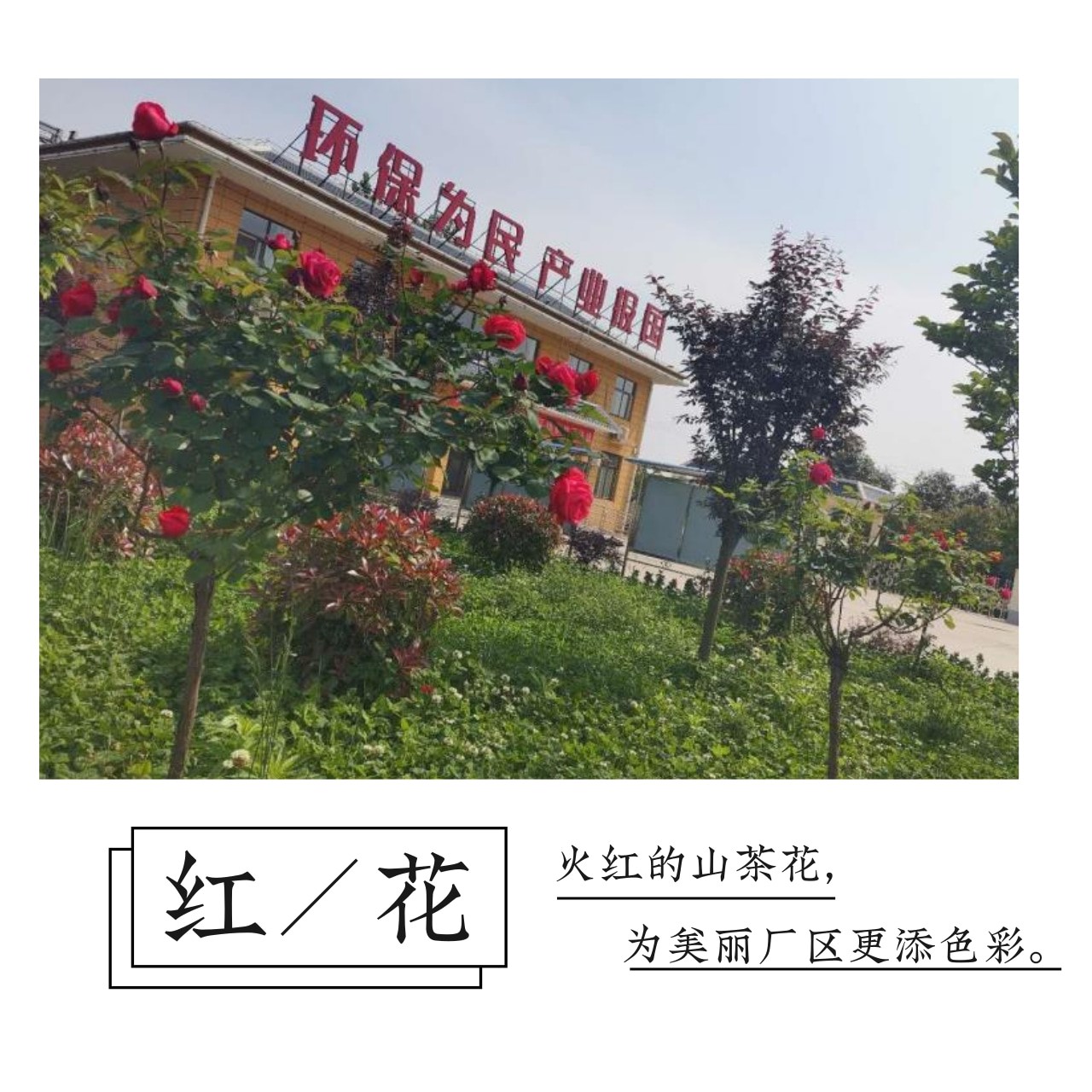pp电子(中国游)官方在线平台