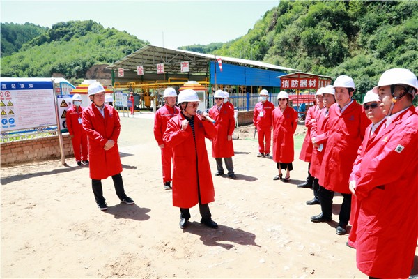 pp电子集团复工复产促增添项目观摩聚会与会职员走进环保保隆生态三秦在延在铜项目