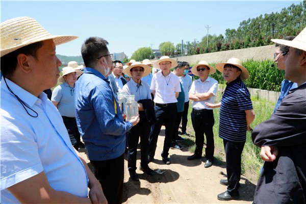 pp电子集团复工复产促增添项目观摩聚会与会职员走进环保保隆生态三秦在延在铜项目